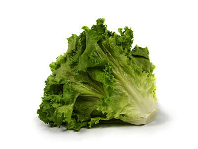 Green Leaf Lettuce Vegfresh